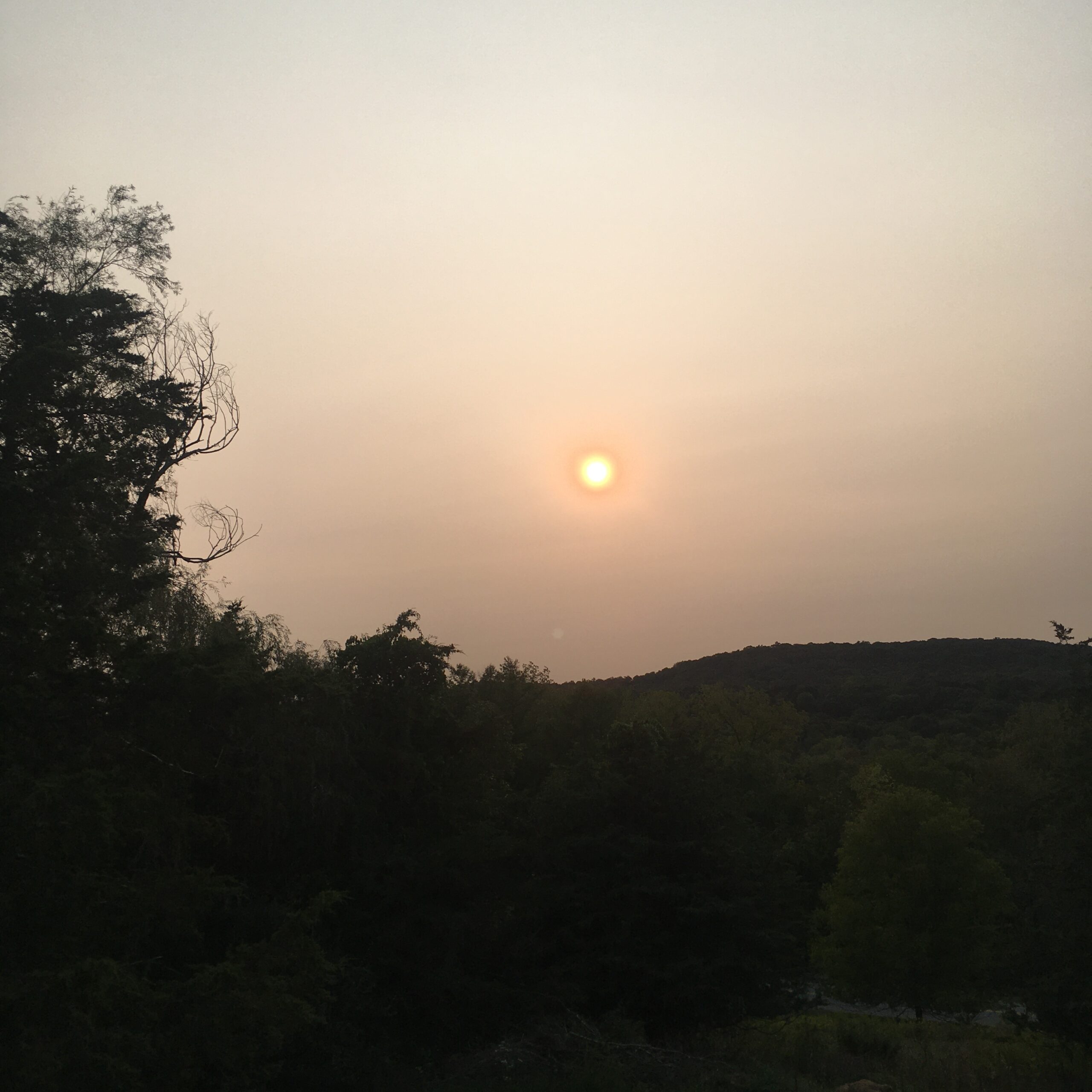 How Do We Sleep While Our Beds Are Burning? Cox Crow