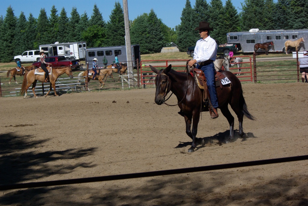 Coyote Run Farm Mules & Horses