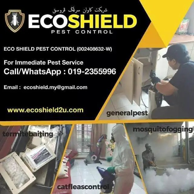 27 Best Pest Control Services in Malaysia