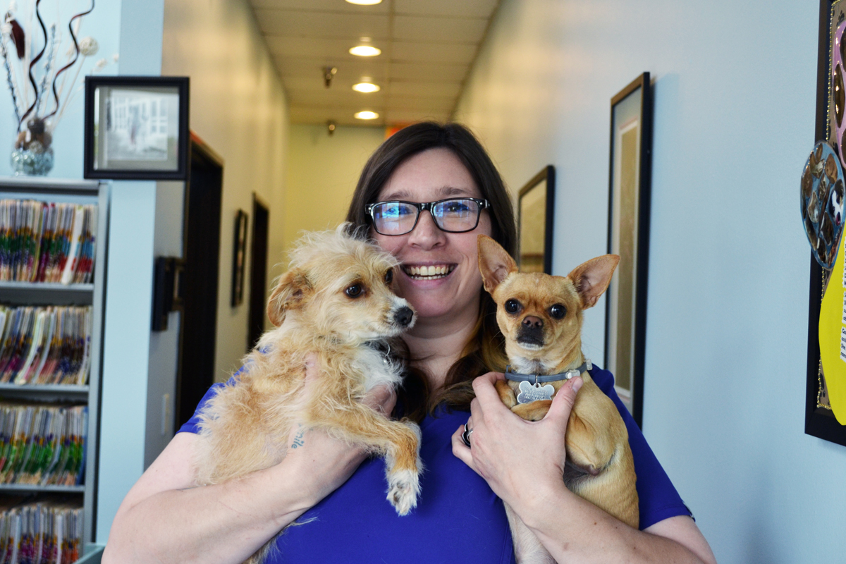 Clinic Tour Companion Pet Clinic of Aloha