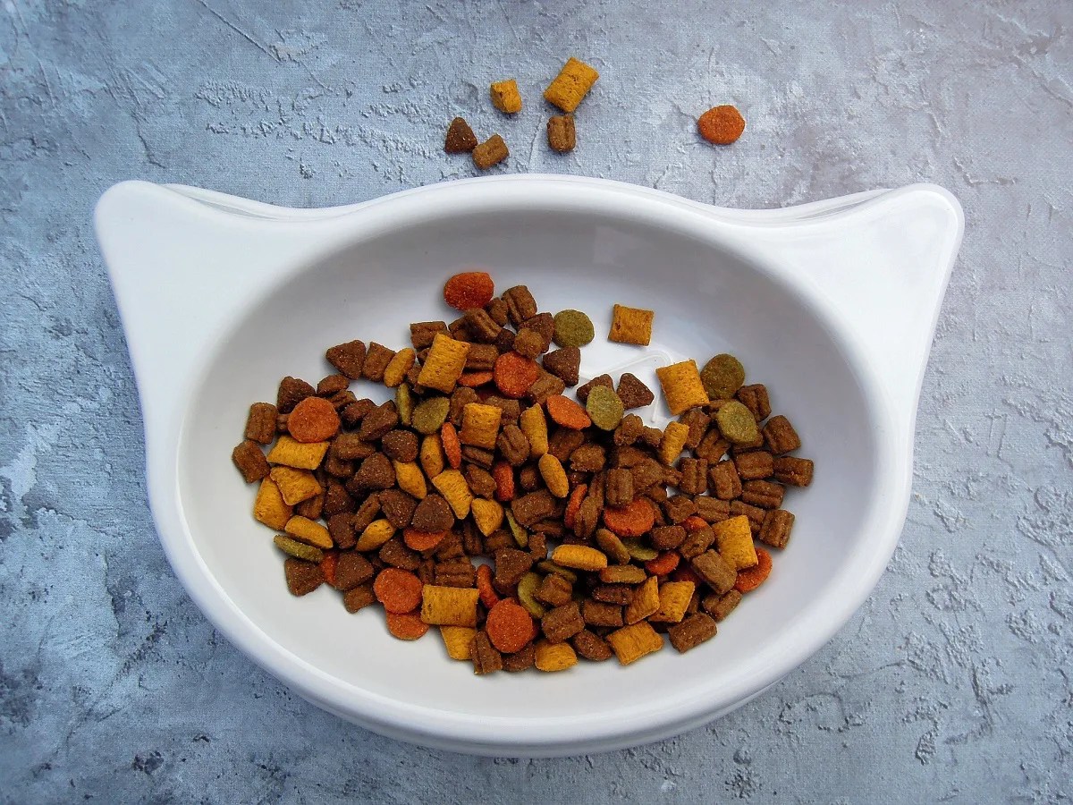 The history of cat food and the evolution of cat food industry CPC Cares