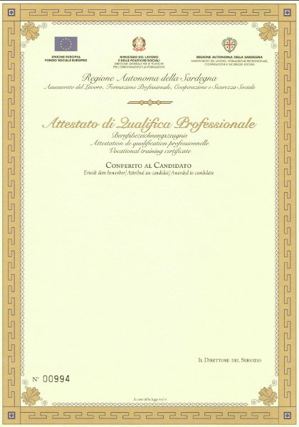 Attestati Di Qualifica Oss E Super Oss - Centro Professionale Europeo "Leonardo" | Centro Professionale Europeo "Leonardo" 600_x_420_jpg