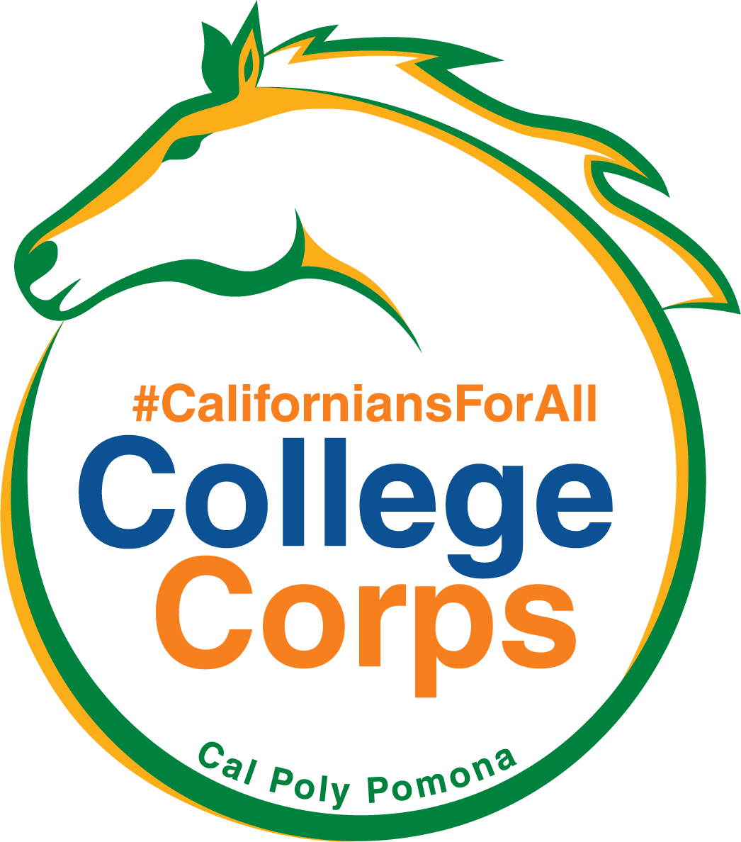 College Corps Fellows