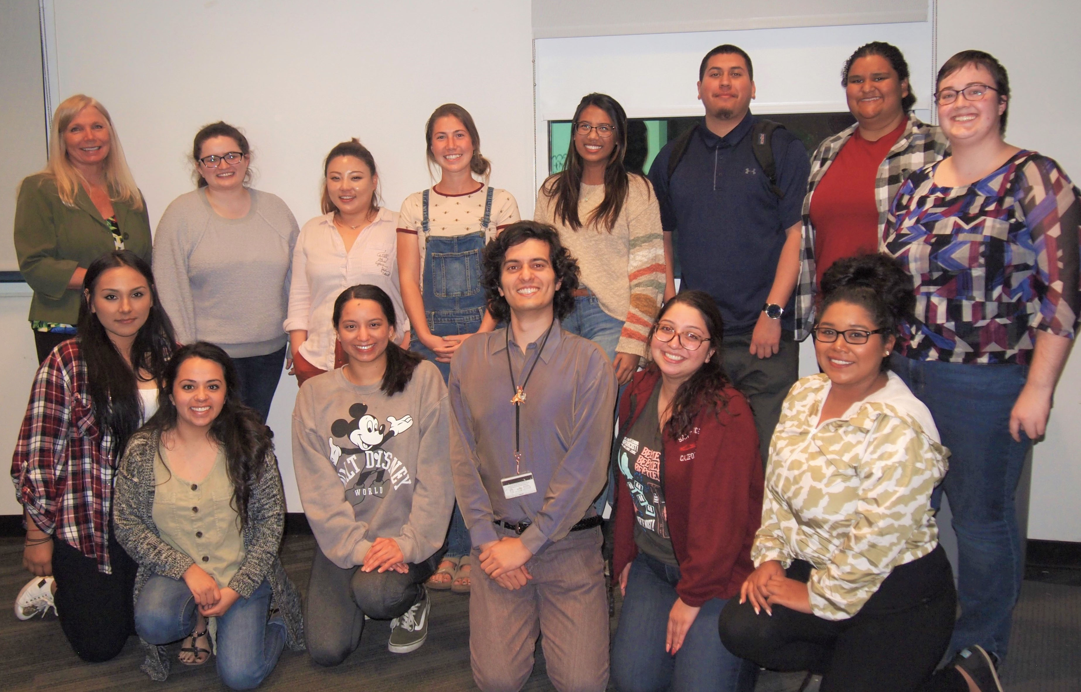 MSTI Programs