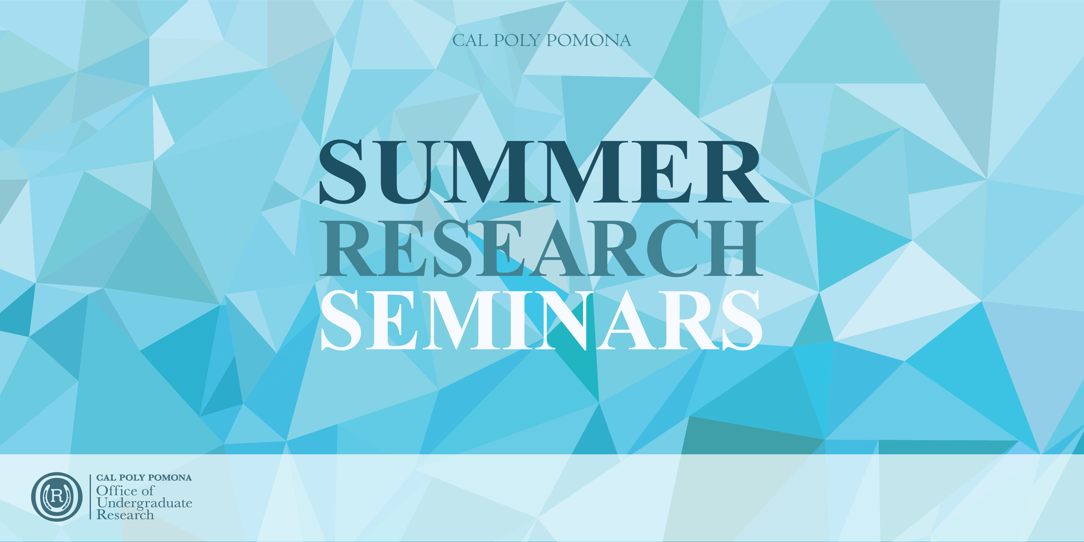 sdn summer research 2023 Summer Research Seminars