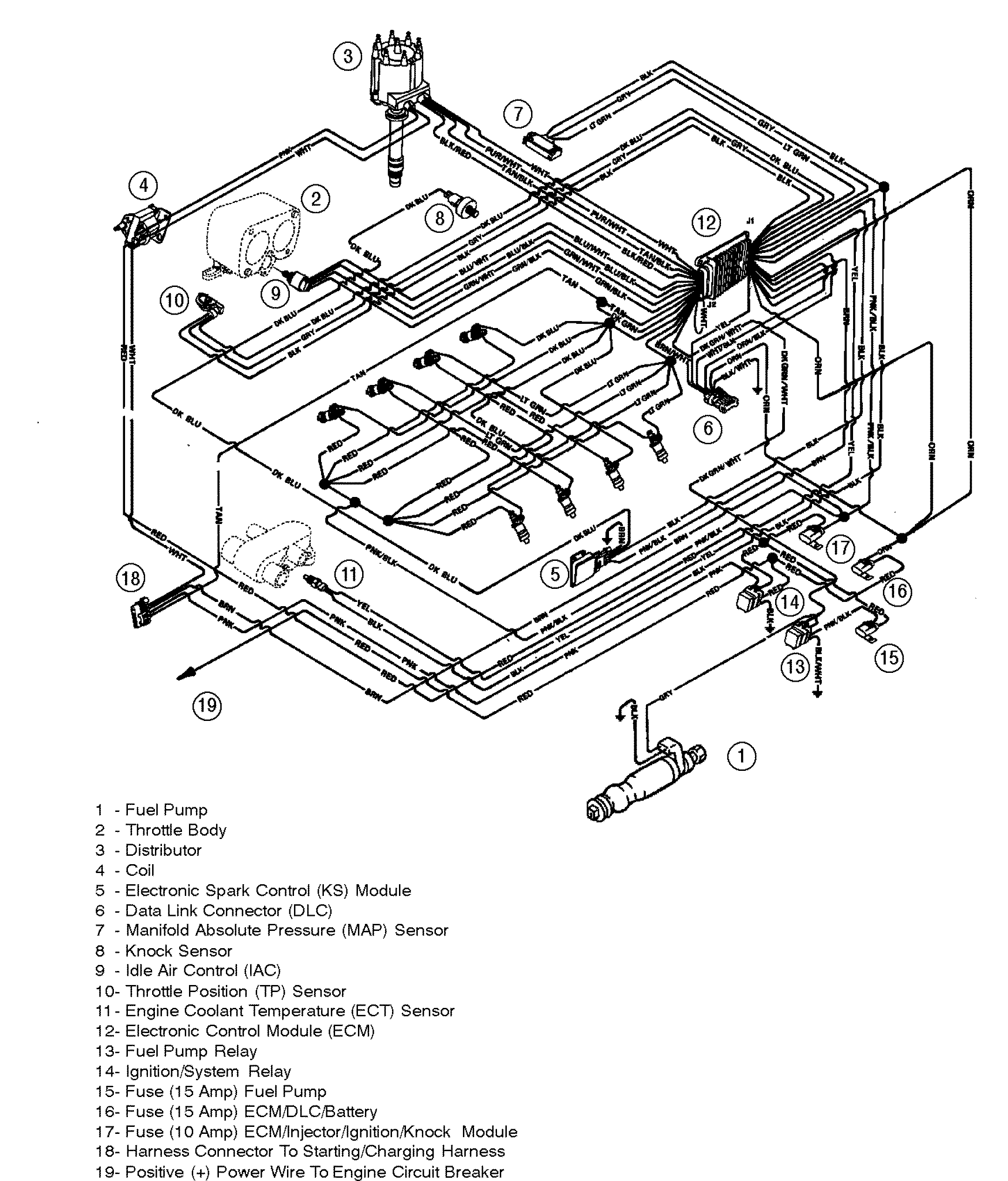 CP Performance Wiring Harness (EFI)