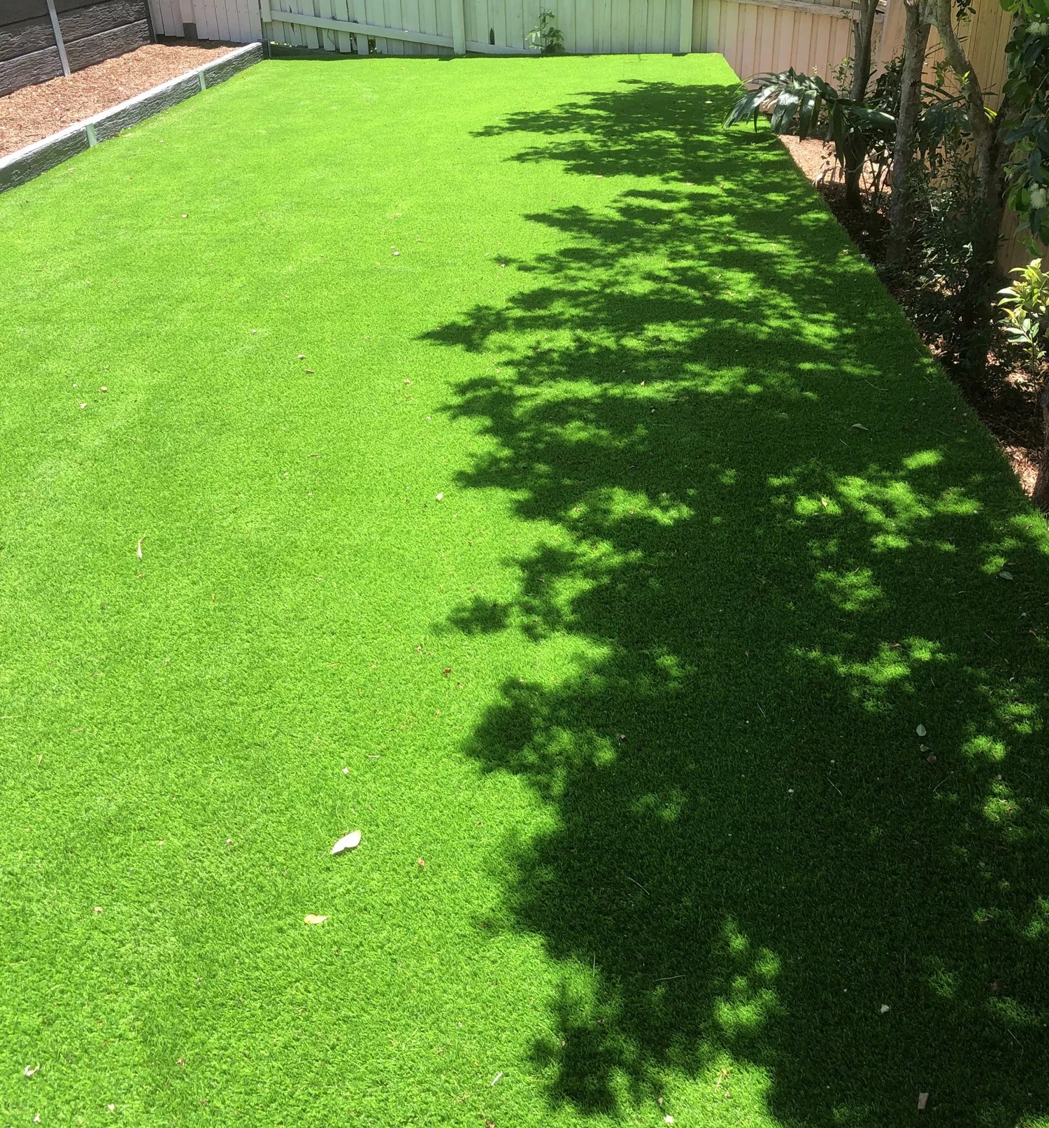 Artificial Turf C Price Landscapes