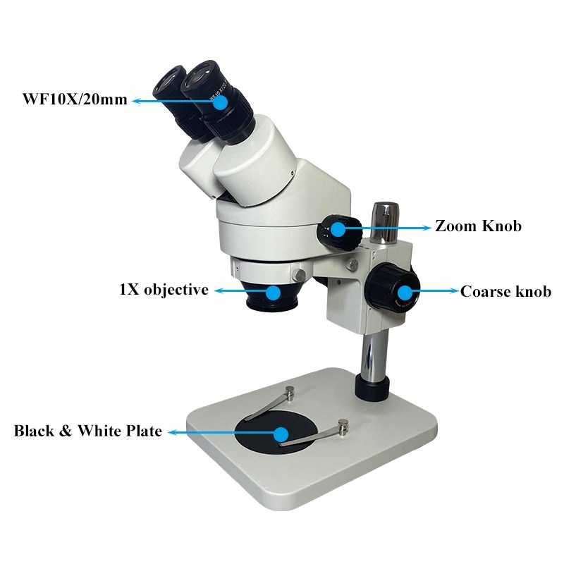 Compound vs. Stereo Microscopes Pros, Cons, and Uses Scopelab