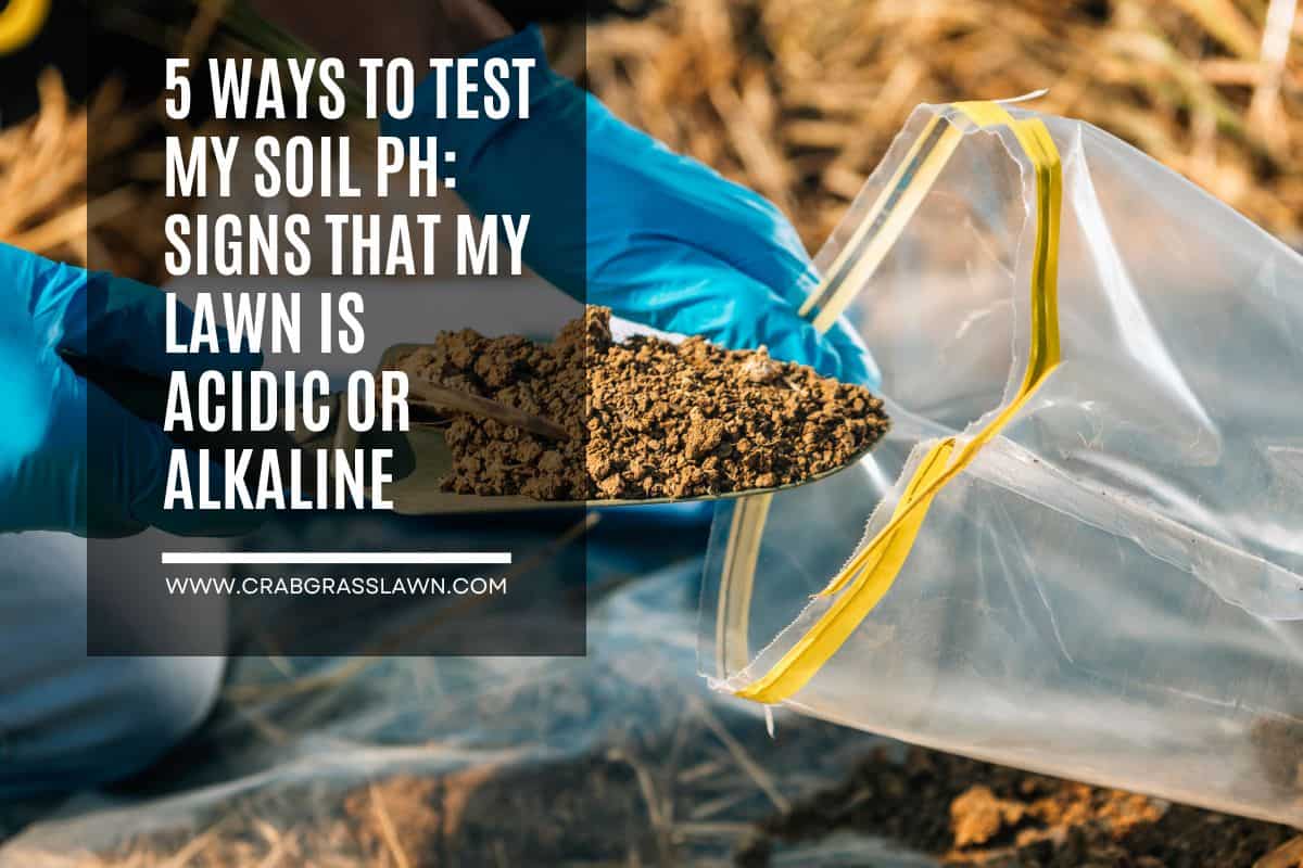 5 Ways to Test My Soil pH Signs that my Lawn is Acidic or Alkaline