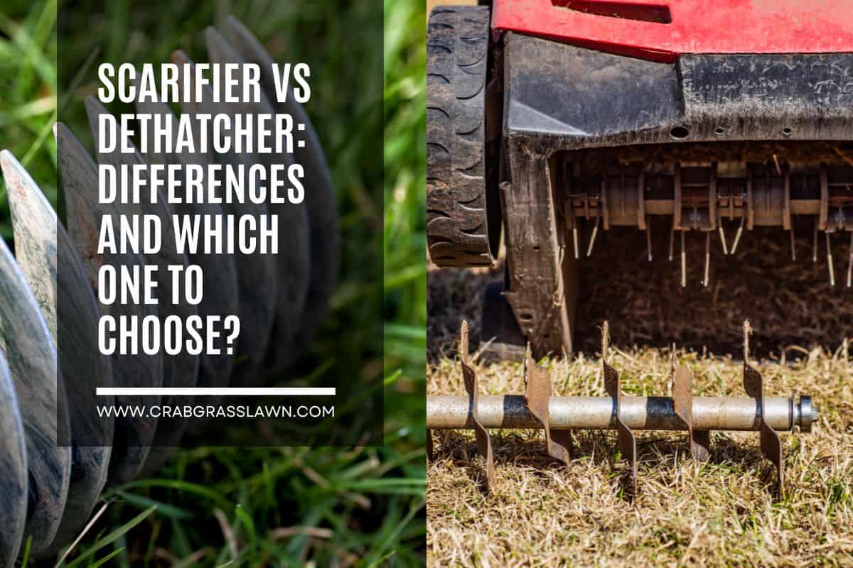 Scarifier vs Dethatcher Differences and Which One to Choose