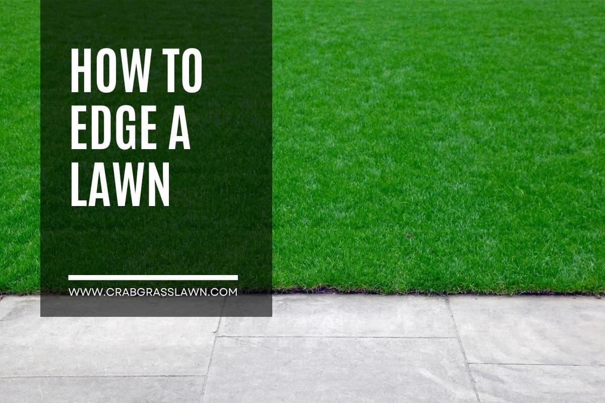 How To Edge a Lawn (10 Easy Steps) A Guide To The Perfect Edge