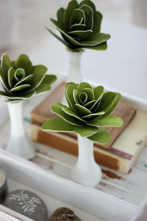 Foam sheet succulent tutorial
