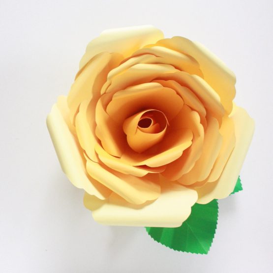 Giant Paper Flowers Crafted Spaces, Barrie, ON, Paper Flowers Class