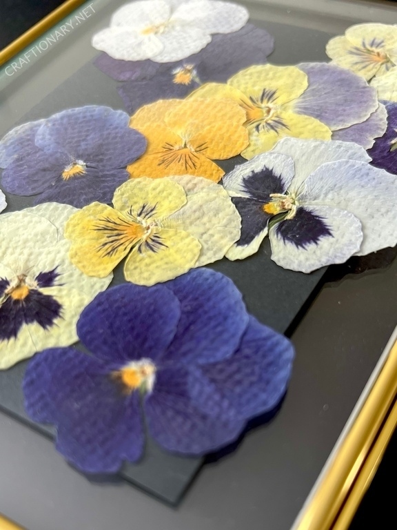 howtomakepressedflowersframesdiy Craftionary