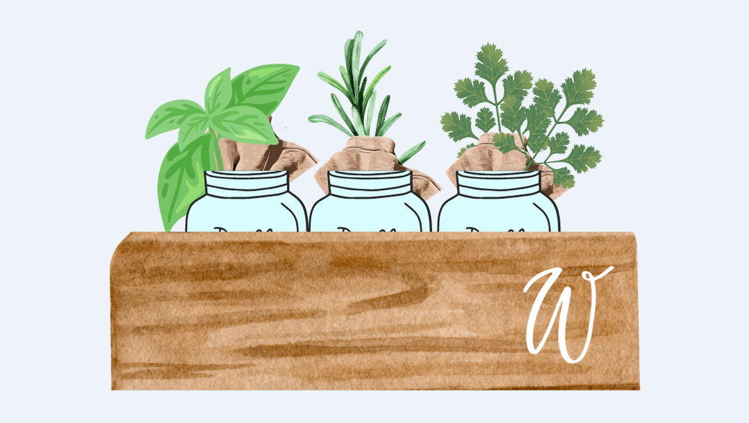 Herb Garden Classes bespoke.