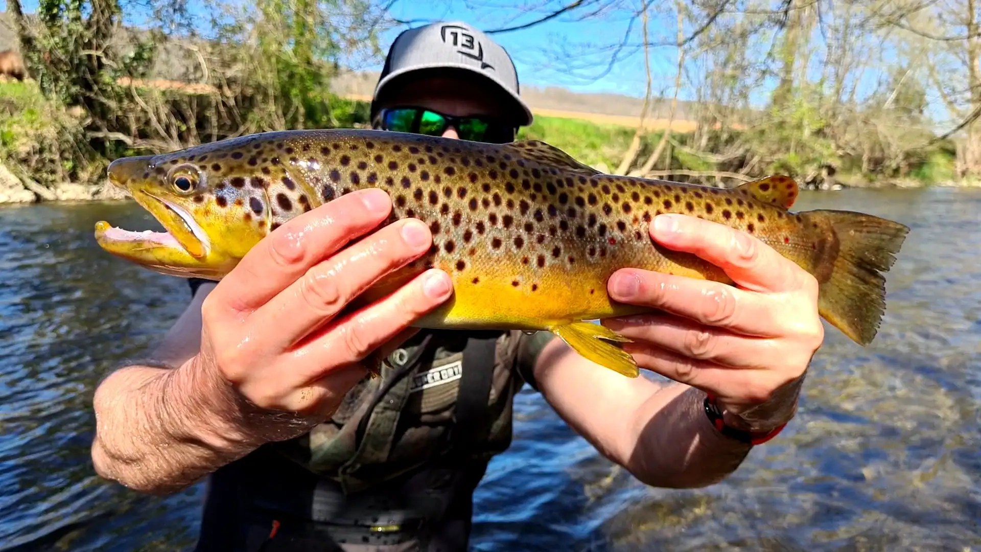 La pêche à la truite pour débutant quel matériel choisir ? Crankys