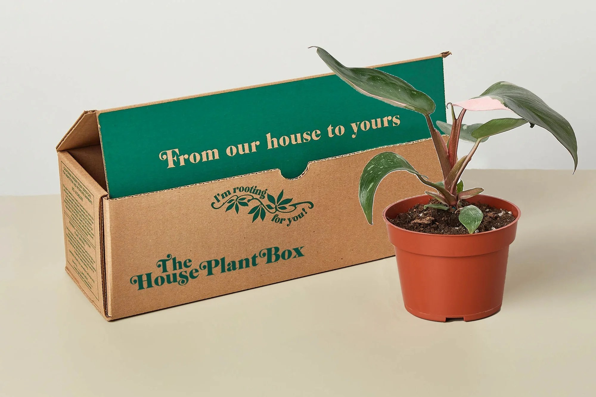 Rare House Plant Box Cratejoy