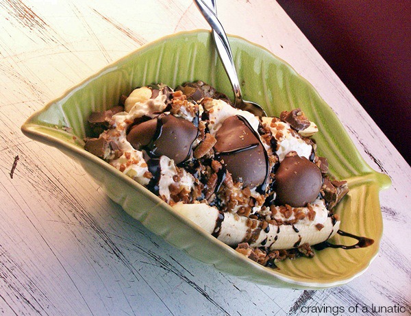 Turtle Banana Split