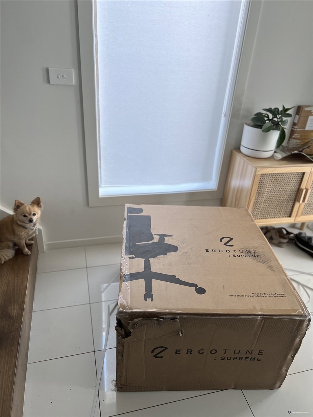 ErgoTune Supreme V3 Ergonomic Chair Review