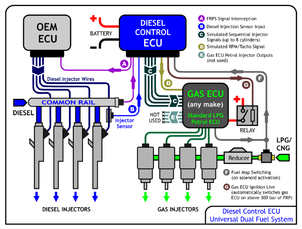 Tartarini Lpg Wiring Diagram - Wiring Diagram