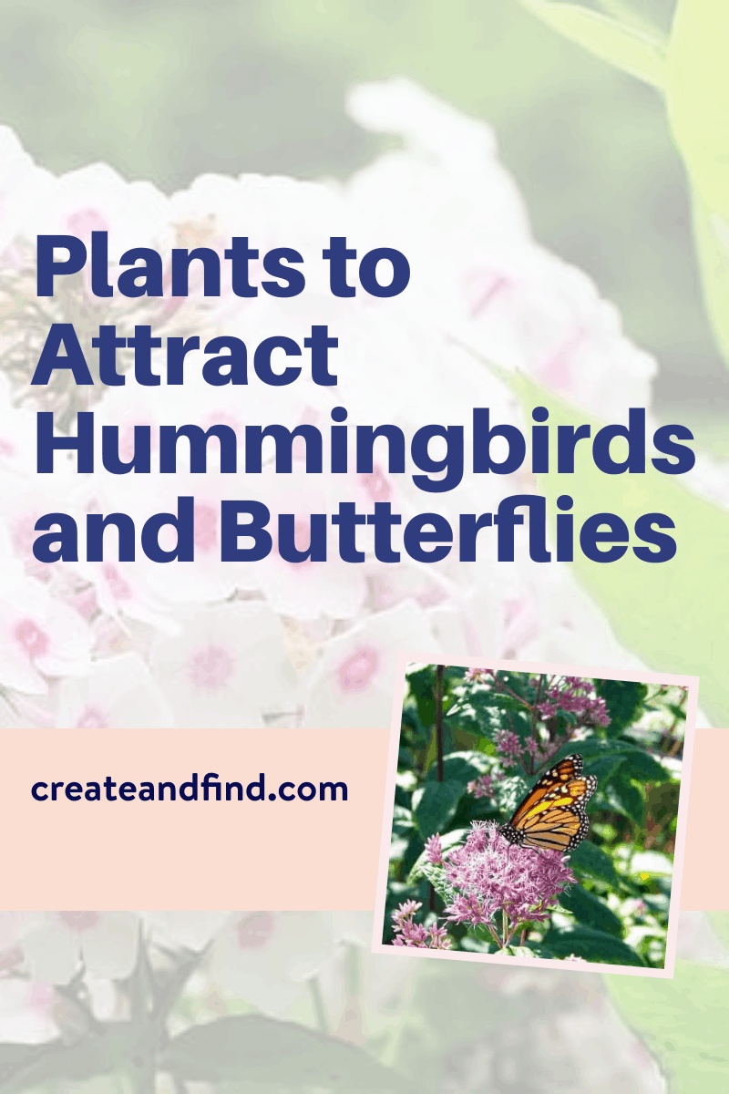 Plants that Attract Butterflies and Hummingbirds
