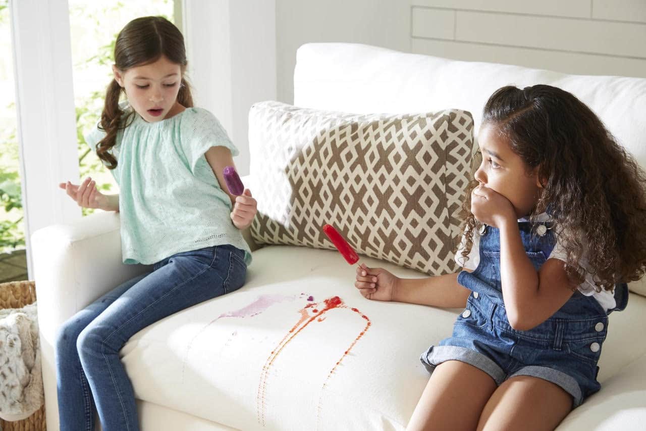 Best Pet Friendly Fabrics Home Envy Furnishings