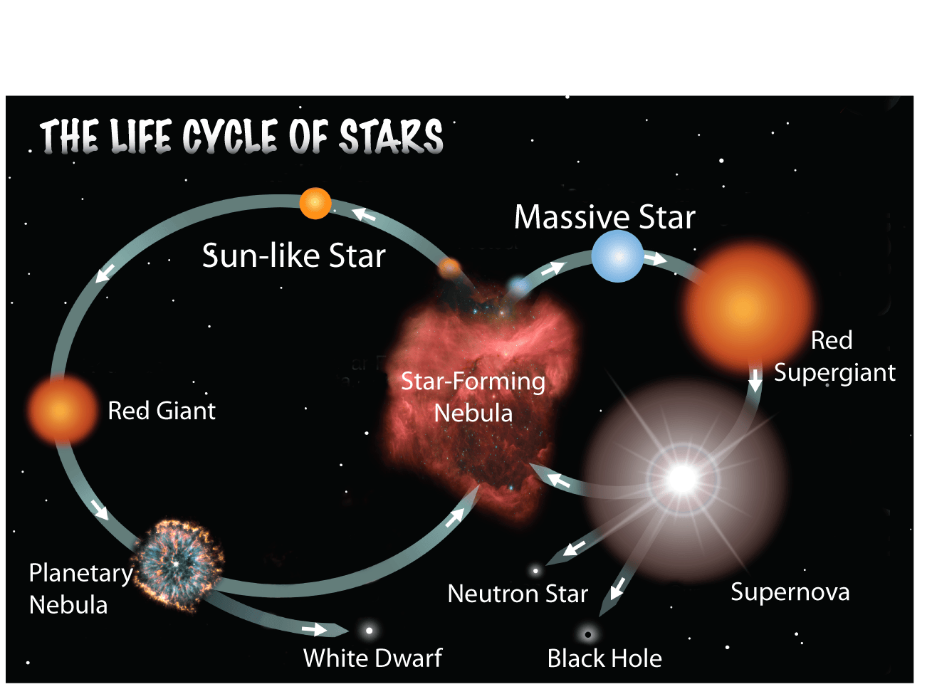 Life Cycle of a Star Create WebQuest