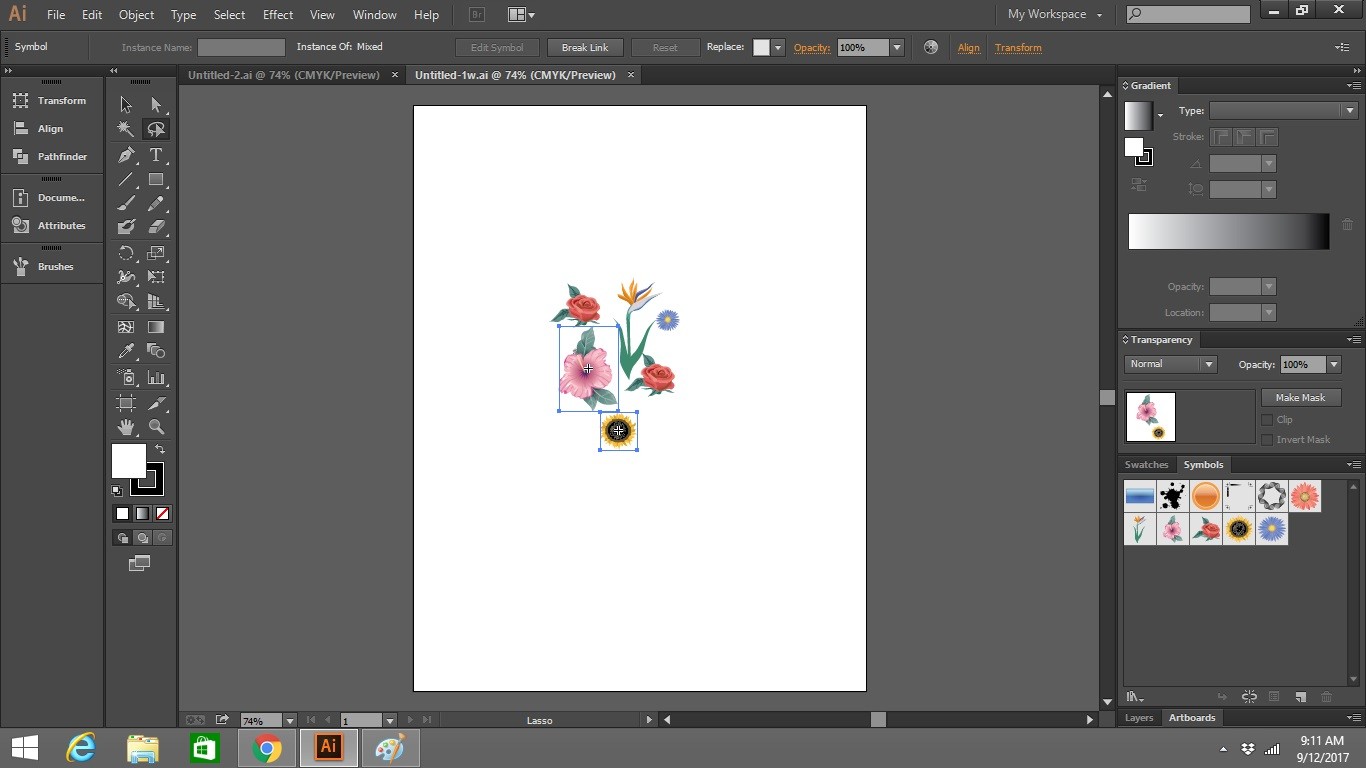 Using the Lasso Tool in Adobe Illustrator CreatifWerks