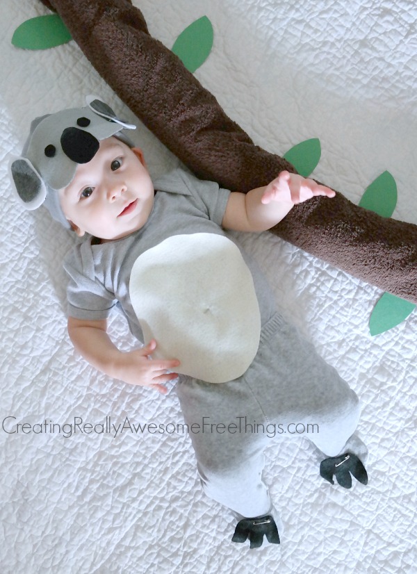 Homemade Baby Costume