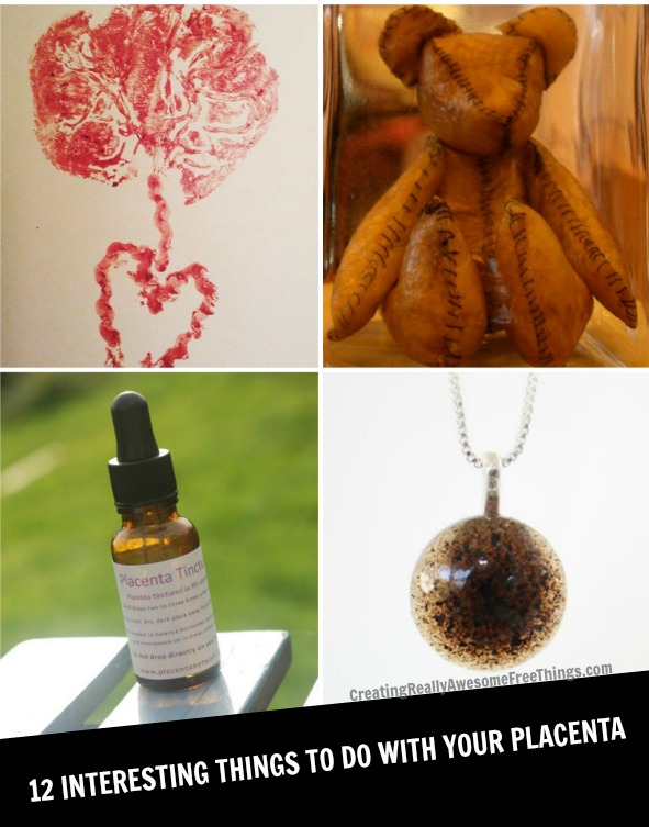 11 Things to do with a placenta C.R.A.F.T.