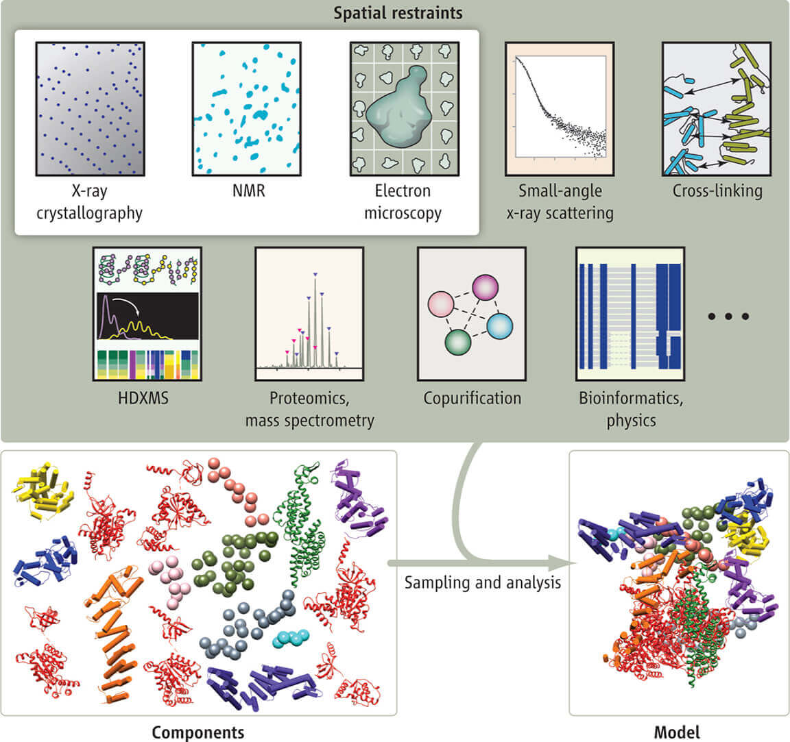 Integrative Structural Biology Services Creative Biostructure