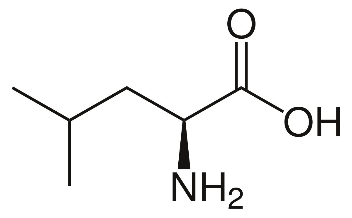 Amino Acid Structure Chart Creative Biostructure