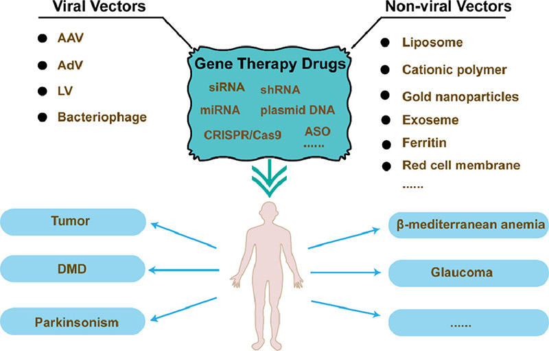 Different Types Of Gene Therapy