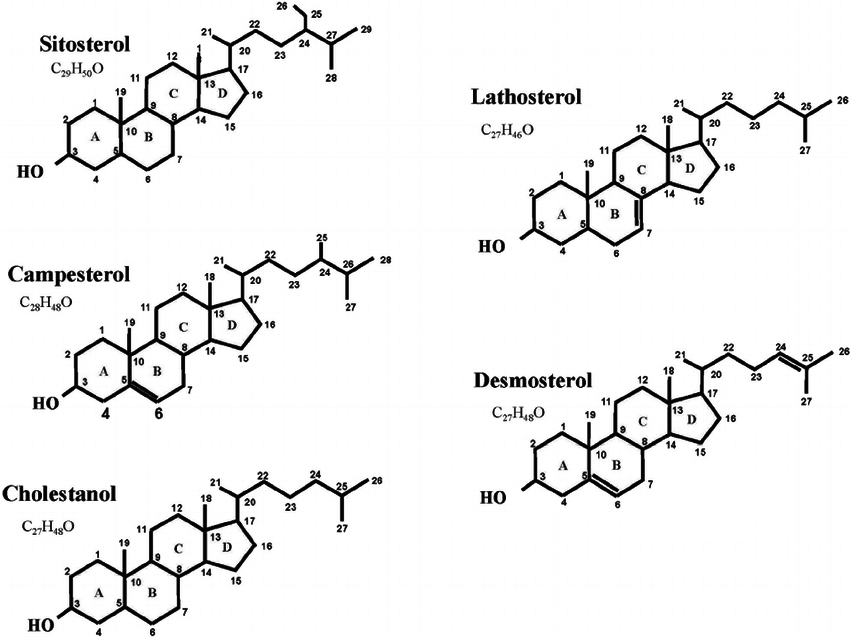 Cholestanol Analysis Service Creative Proteomics