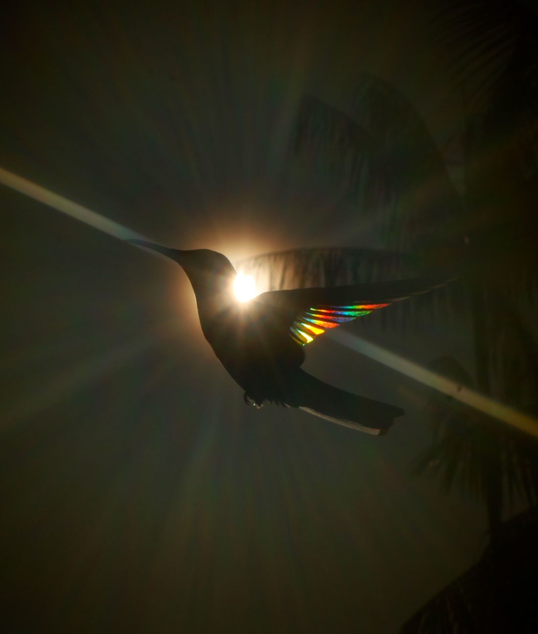 Hasil Fotografi yang Menangkap Efek Prisma Pelangi SInar