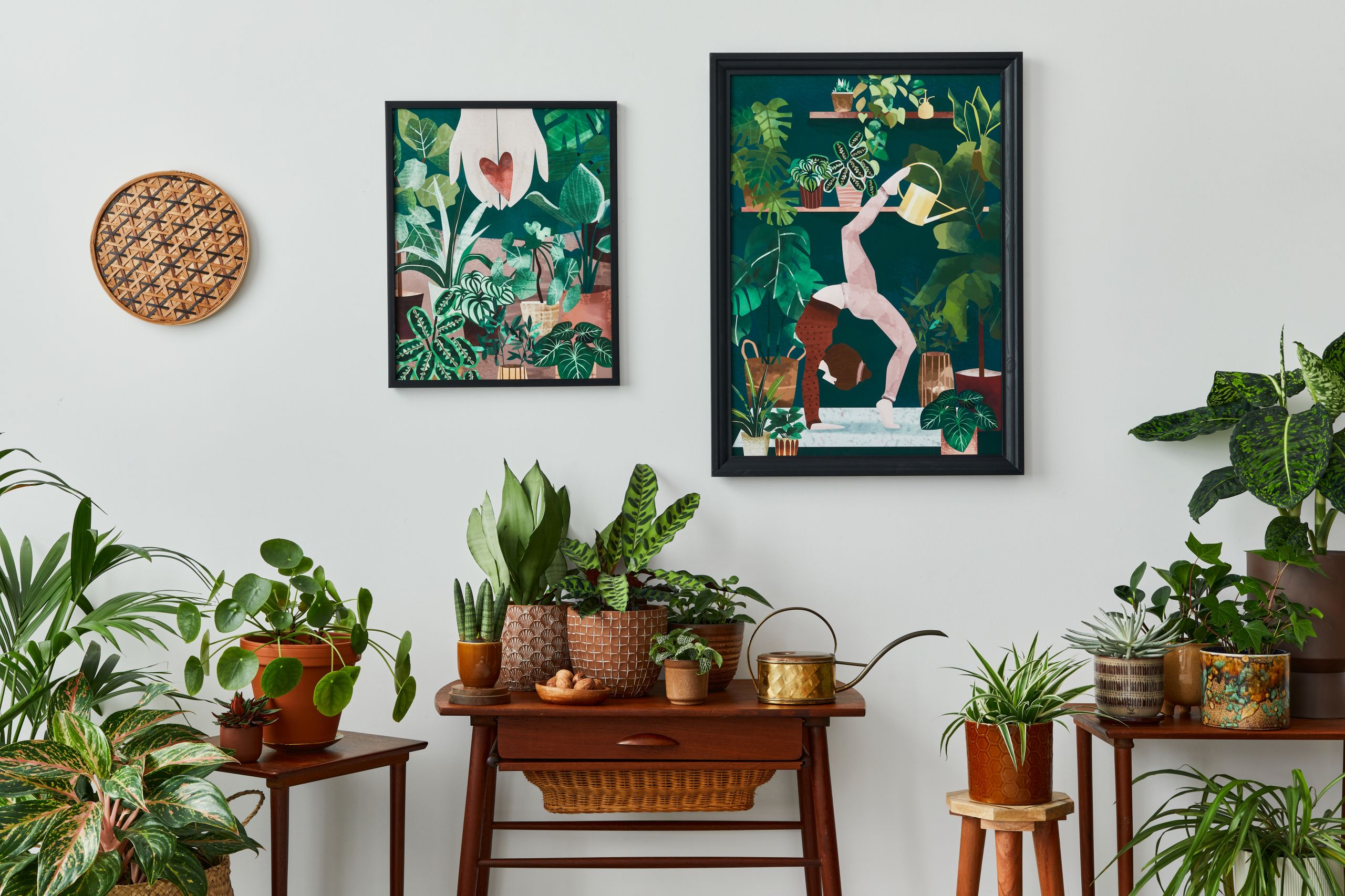 18 of the best places to buy indoor plants online Creative Boom