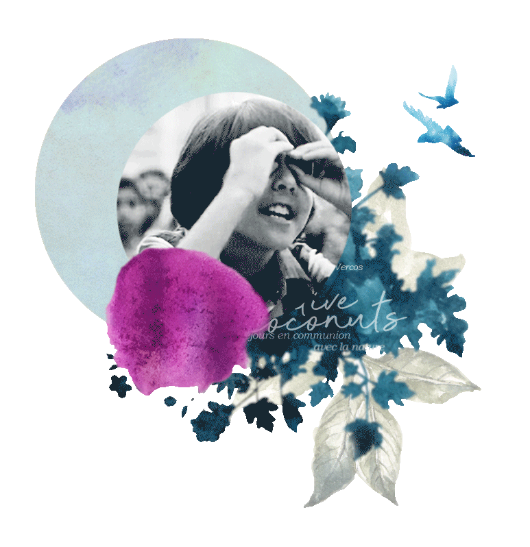 Creative CoconutsLet’s go coconuts!