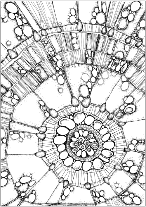 Gallery Adult Colouring, Creative Colouring Course