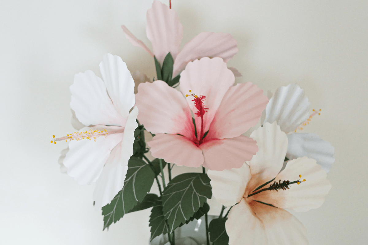 Online Creating Paper Hibiscus Flowers Course · Creative Fabrica