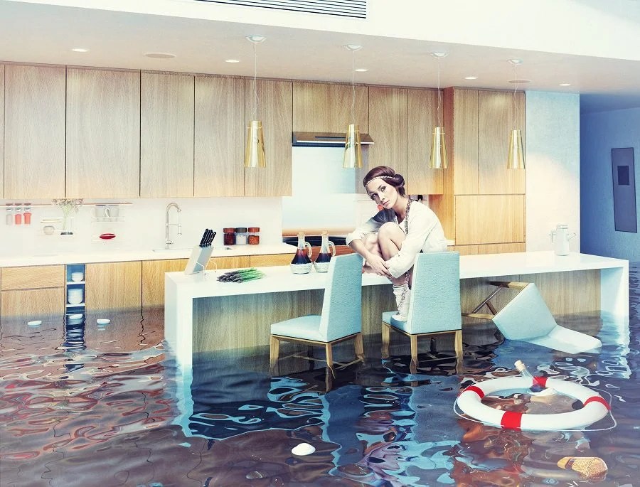 What To Do If My House Is Flooded With Water? Creative Home Idea