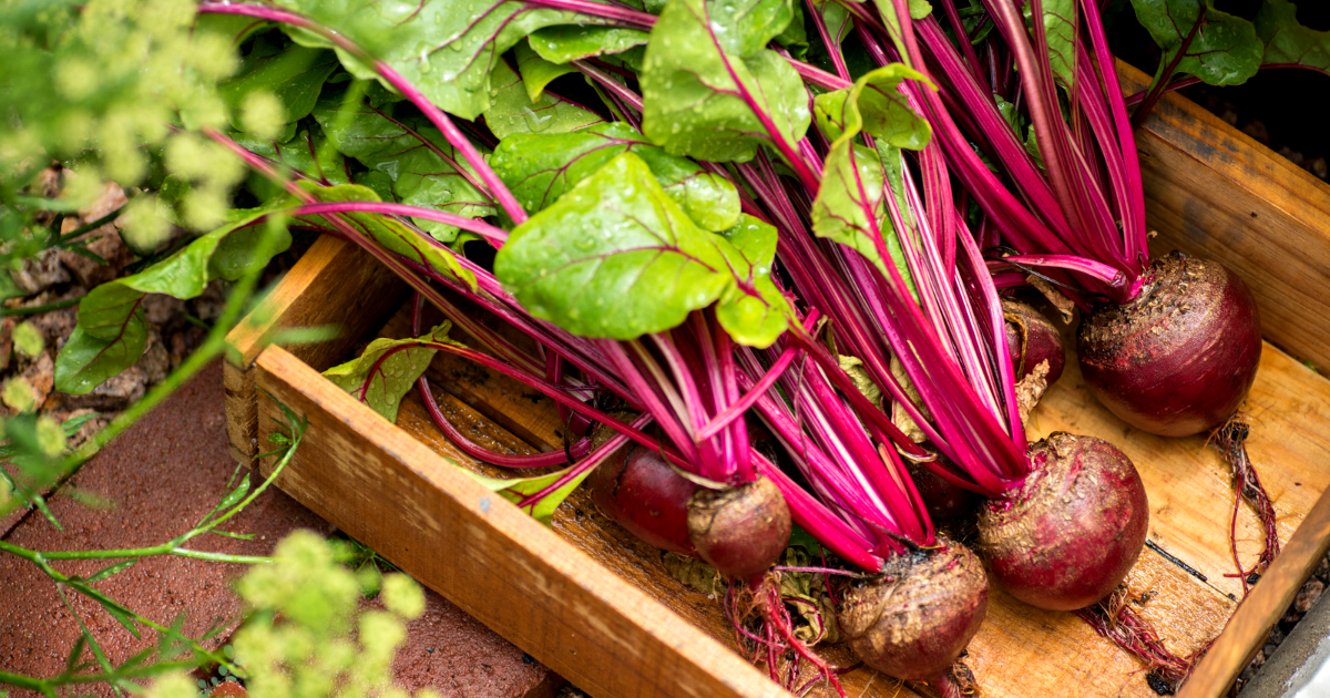 Your Heart Beats for Beets!