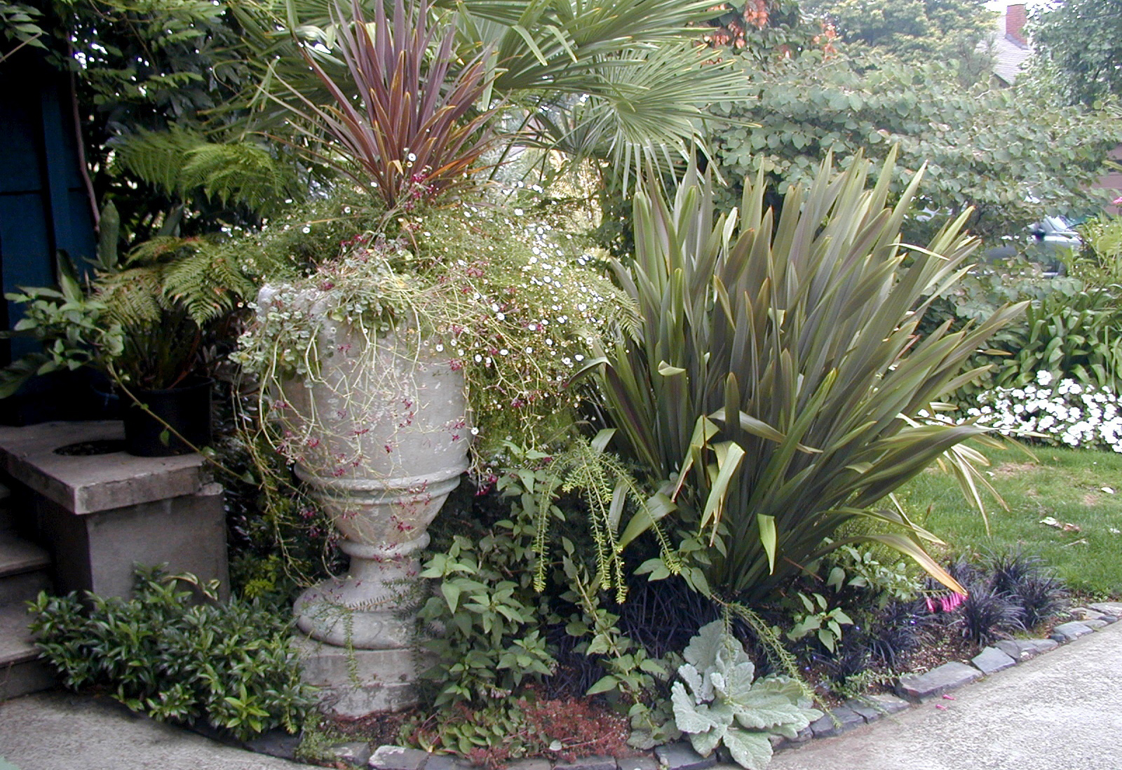 Woodland Garden with Tropical Accents Creative Landscapes, Inc.