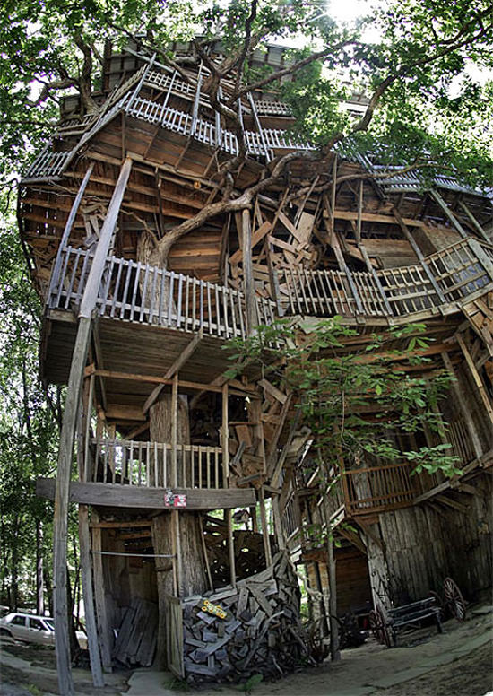 Inside the World’s Biggest Tree House Gift Ideas Creative Spotting
