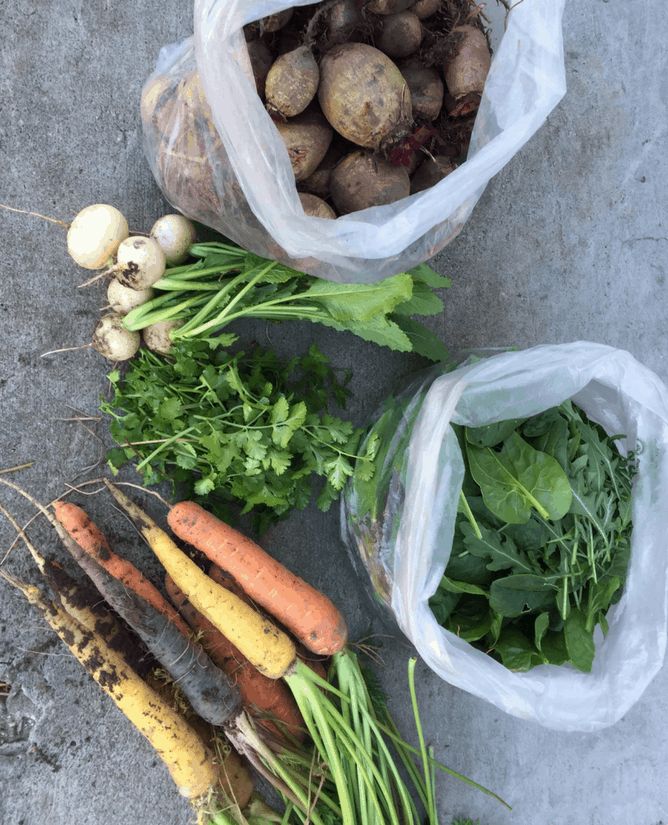 Creative Vegetable Gardenercold weather vegetables Creative