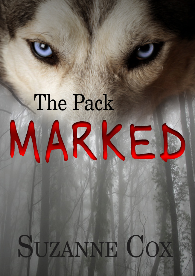 Free book cover critique “Marked”, a paranormal werewolf book cover