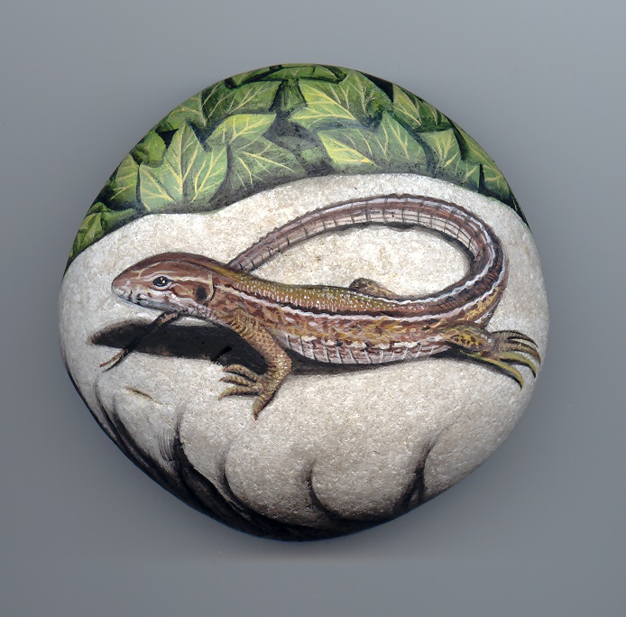 Lizard, paint on stone by Roberto Rizzo