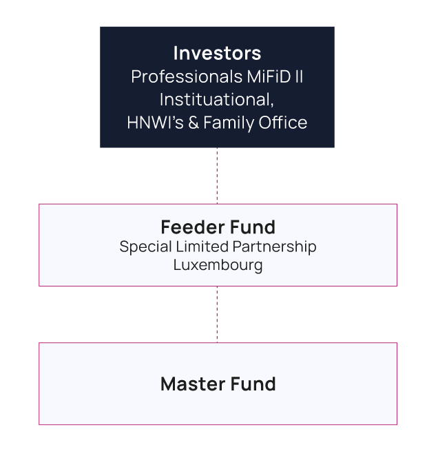 Expertise in Master Feeder funds structures in Luxembourg