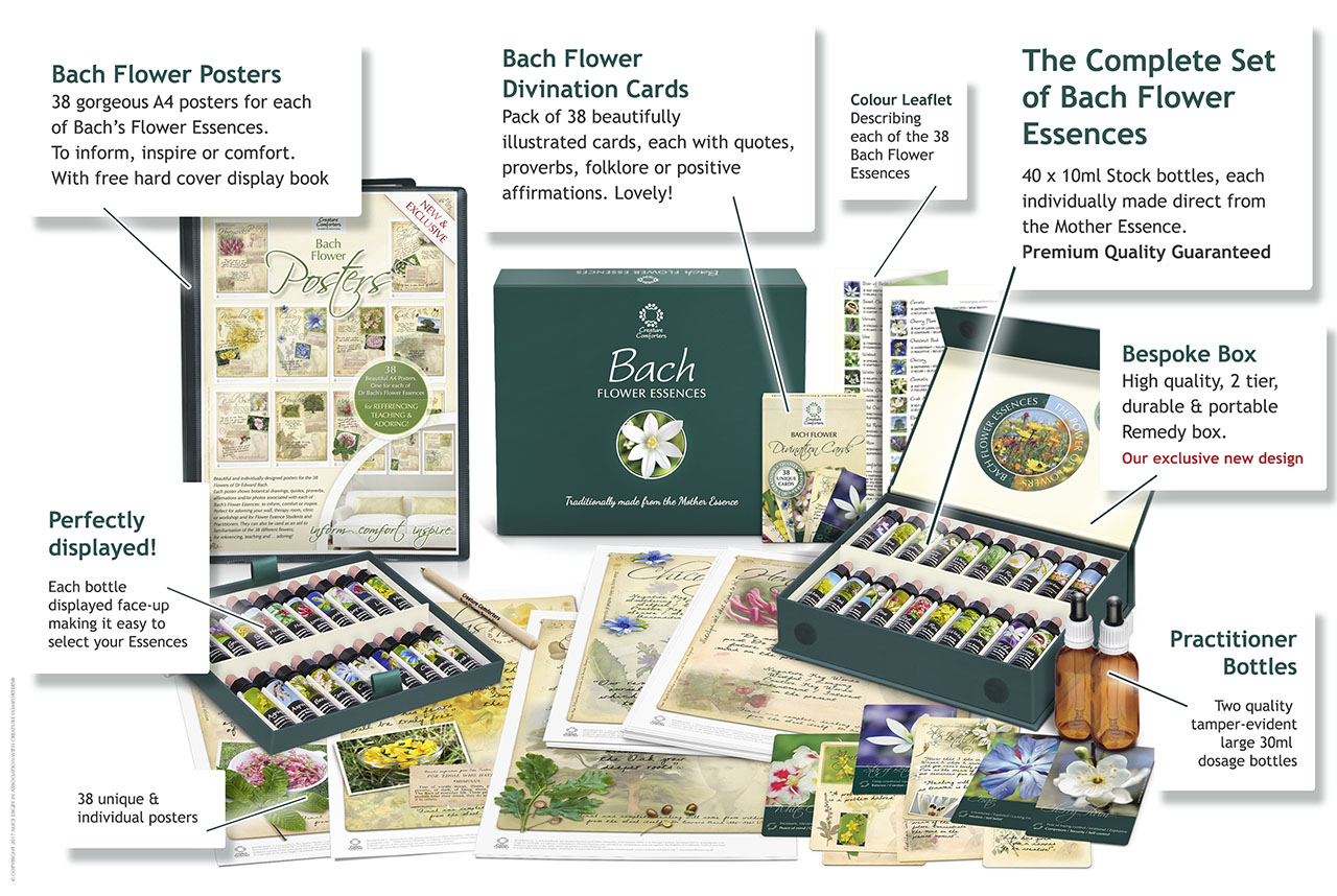 Bach Flower Essence Complete Kit in Wooden Case. Practitioner Gift Set