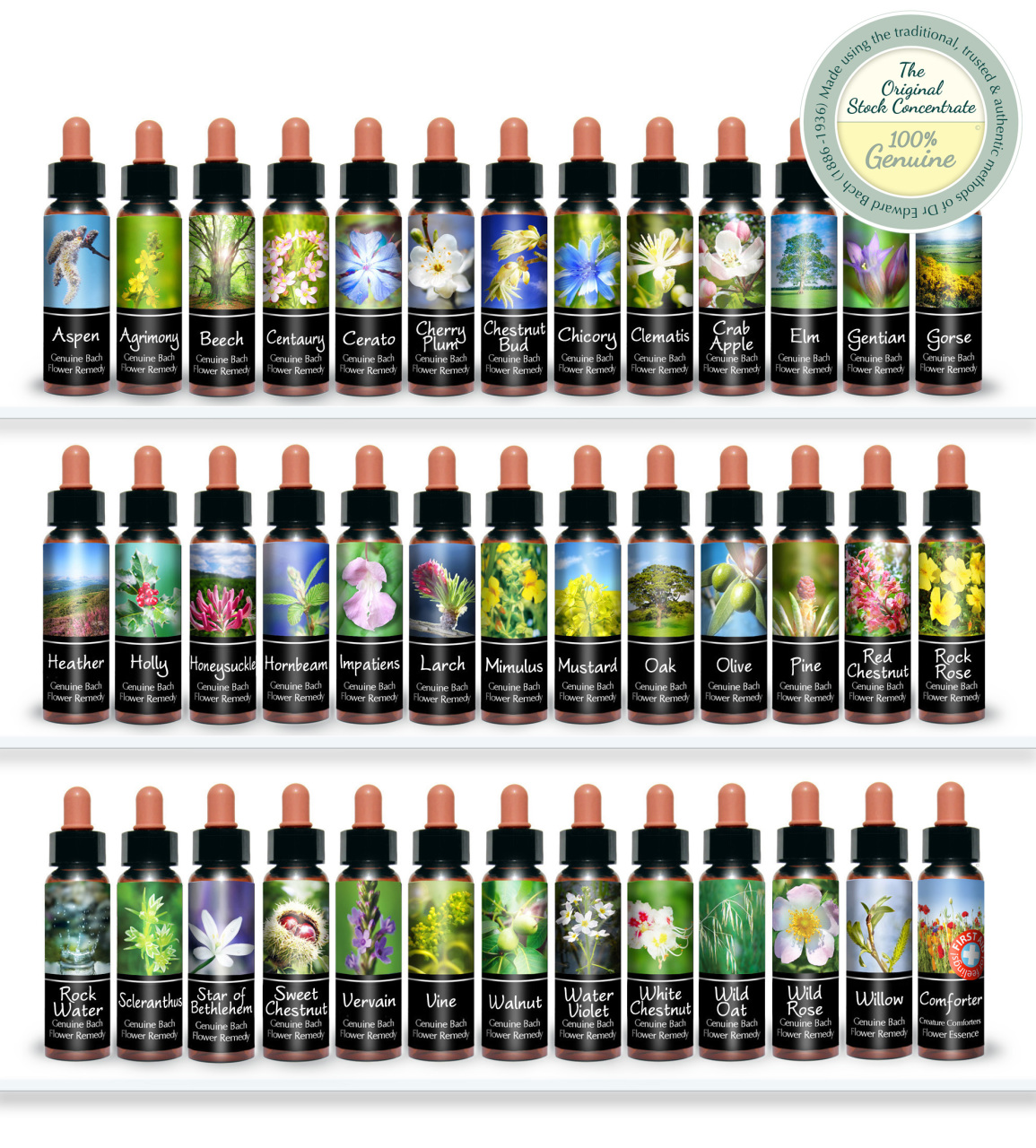Bach Flower Remedy complete Sets and Kits, Bach Flower Remedy gifts, Bach Divination Cards