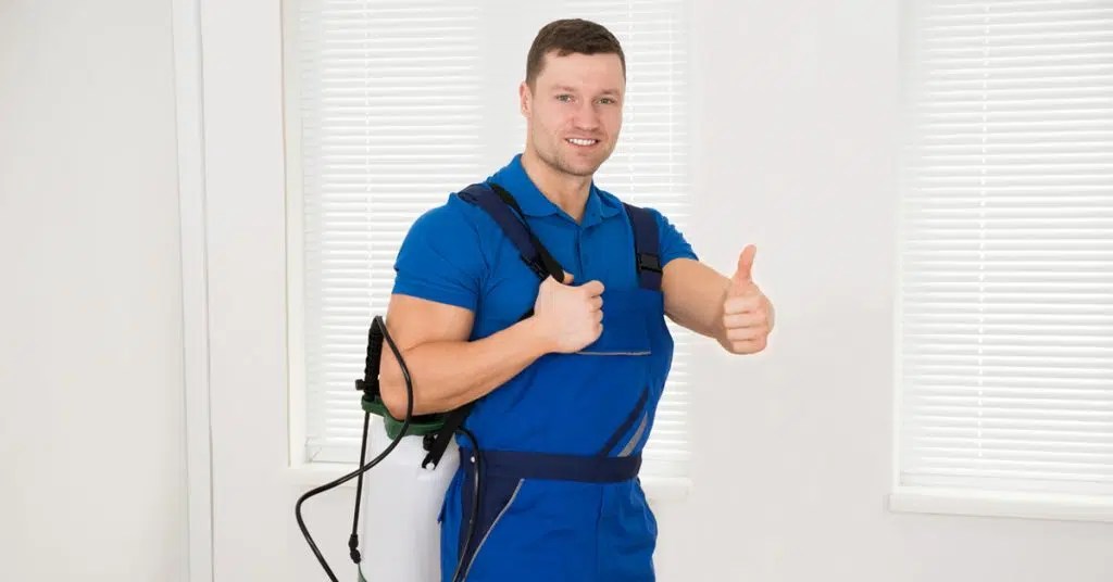 What is a Rat Wall? Creature Control